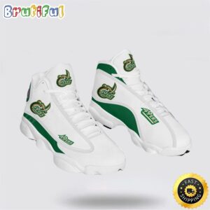 NCAA Charlotte 49 ERS Air Jordan 13 Printed Logo JD 13