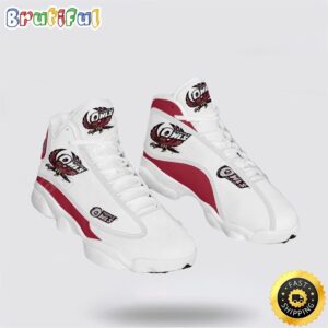 NCAA Temple Owls Air Jordan 13 Printed Logo JD 13