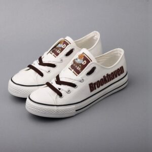 Novelty Design Brookhaven Broncos Shoes Low Top Canvas Shoes