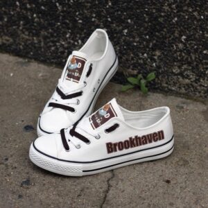 Novelty Design Brookhaven Broncos Shoes Low Top Canvas Shoes