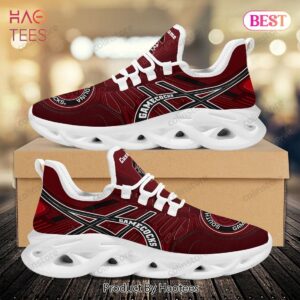 Personalized Name South Carolina Gamecocks NCAA Max Soul Shoes