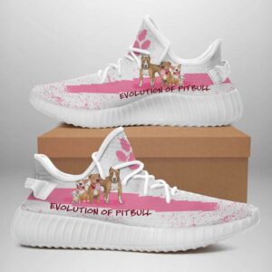 Pit Bull Evolution Yeezy Boost Shoes Sport Sneakers Yeezy Shoes