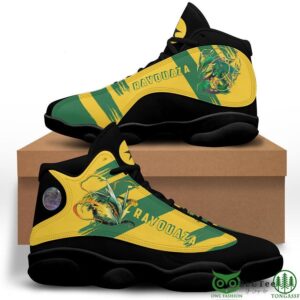 Rayquaza Custom Pokemon Air Jordan 13